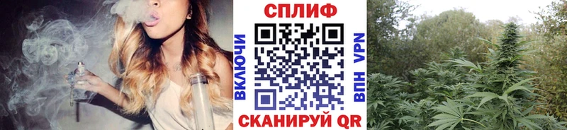 Шишки марихуана сатива  где купить наркоту  Орлов 